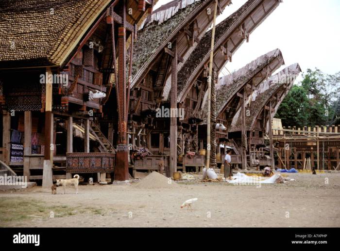 Berkaca Kasus Toraja, Fadli Zon Minta Ada Pendataan Rumah Adat